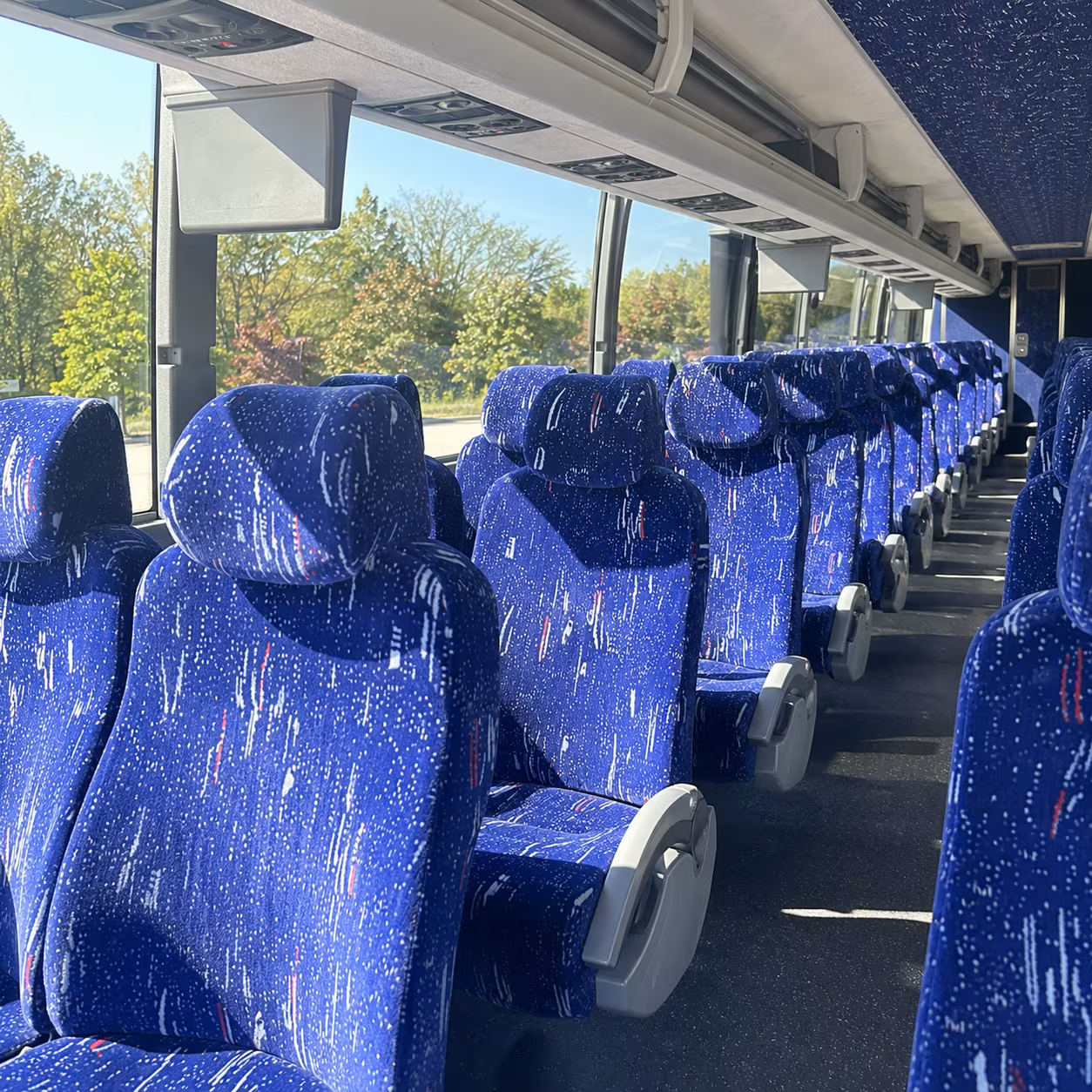 davie prom transportation onboard seating